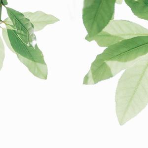 一区二区谢精交配
